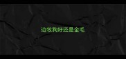 边牧狗好还是金毛