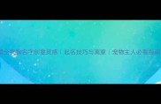 最全狗狗名字创意灵感起名技巧与寓意宠物主人必看指南
