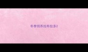 冬季饲养拉布拉多