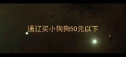 通辽买小狗狗50元以下