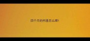 四个月的柯基怎么喂