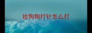 给狗狗打针怎么打