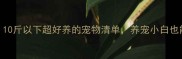 新手必看10斤以下超好养的宠物清单养宠小白也能轻松上手