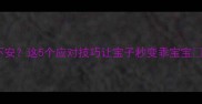比熊幼犬打完疫苗后狂躁不安这5个应对技巧让宝子秒变乖宝宝比熊犬幼犬护理疫苗反应