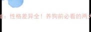 哈士奇vs阿拉斯加性格差异全养狗前必看的两大工作犬对比指南