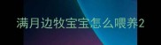 满月边牧宝宝怎么喂养
