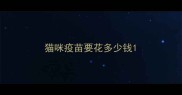 猫咪疫苗要花多少钱