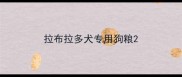 拉布拉多犬专用狗粮