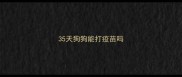 35天狗狗能打疫苗吗