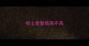 哈士奇智商高不高