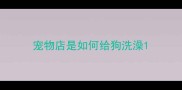 宠物店是如何给狗洗澡