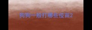 狗狗一般打哪些疫苗