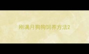 刚满月狗狗饲养方法