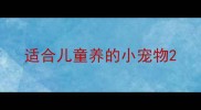适合儿童养的小宠物