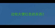 边牧大便红色的东西