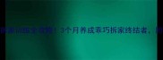 拉布拉多不拆家训练全攻略3个月养成乖巧拆家终结者附保姆级教程