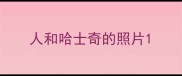 人和哈士奇的照片