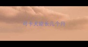 可卡犬能长几个月