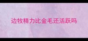 边牧精力比金毛还活跃吗