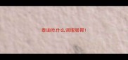 泰迪吃什么调理肠胃