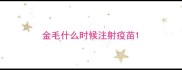 金毛什么时候注射疫苗