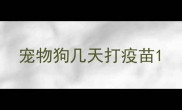 宠物狗几天打疫苗