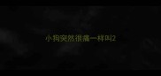 小狗突然很痛一样叫