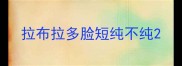 拉布拉多脸短纯不纯