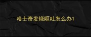 哈士奇发烧呕吐怎么办
