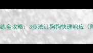 泰迪犬坐下指令训练全攻略3步法让狗狗快速响应附科学训练指南