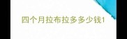四个月拉布拉多多少钱