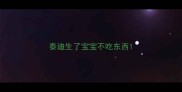 泰迪生了宝宝不吃东西