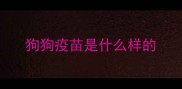 狗狗疫苗是什么样的