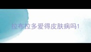 拉布拉多爱得皮肤病吗