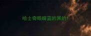 哈士奇眼睛蓝的黑的