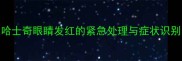 哈士奇眼睛发红的紧急处理与症状识别