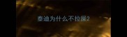 泰迪为什么不拉屎