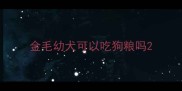 金毛幼犬可以吃狗粮吗