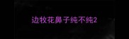 边牧花鼻子纯不纯