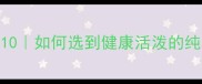 国内泰迪犬舍推荐TOP10如何选到健康活泼的纯种泰迪附避坑指南