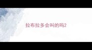 拉布拉多会叫的吗