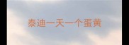 泰迪一天一个蛋黄
