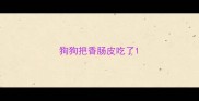 狗狗把香肠皮吃了