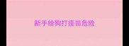 新手给狗打疫苗危险