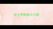 哈士奇眼睛又问题