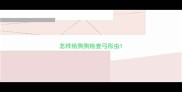 怎样给狗狗检查弓形虫