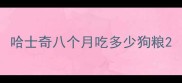 哈士奇八个月吃多少狗粮