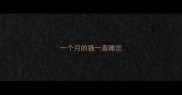 一个月的猫一直睡觉