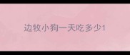 边牧小狗一天吃多少