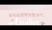 金毛起名字大全洋气